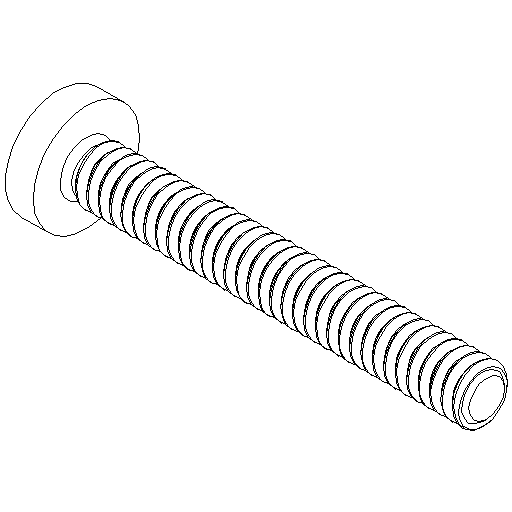 M4x30 screw with cross slot (SP21)