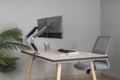 3IDEE Dual monitor mount | For 2 monitors 17"-32" screens | Height adjustable - up to 9kg per arm